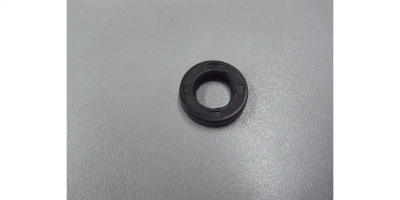 Сальник D17xd9x4
